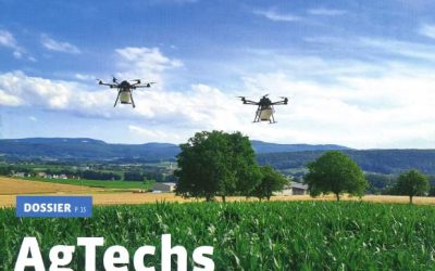 Platanor® ‘Vallis Clausa’ dans Phytoma – La santé des végétaux