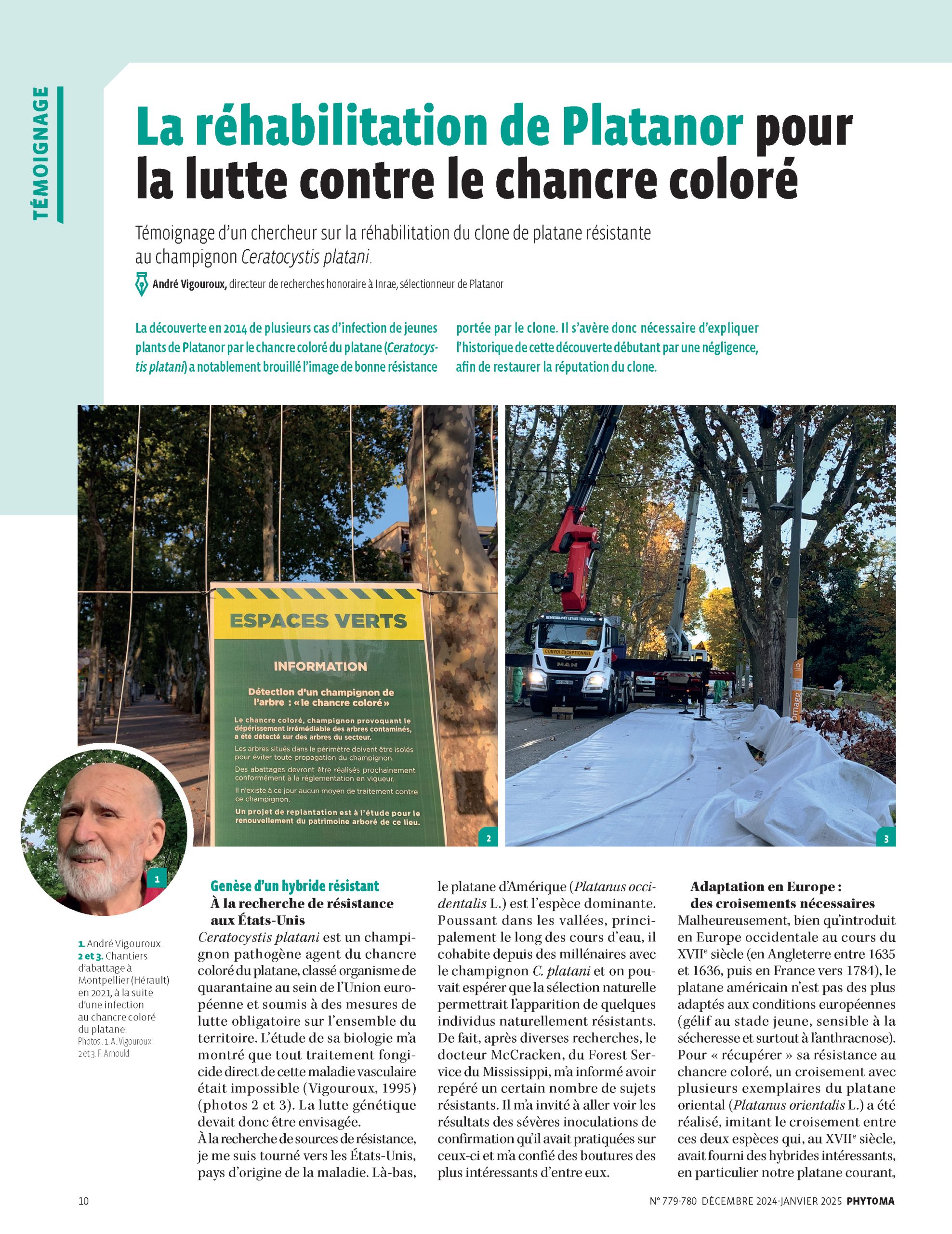 Phytoma platanor vallis clausa article p1
