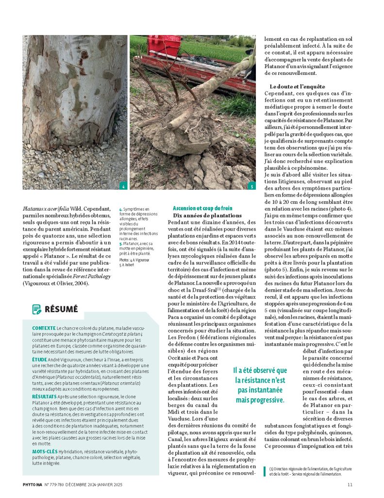 Phytoma platanor vallis clausa article p2