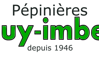 Platanor® ‘Vallis Clausa’ et la résistance différée